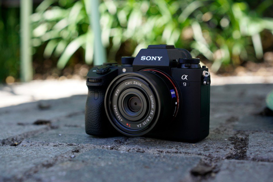 #SonyAlpha a9 features a 24.2MP Sensor, 693-Point AF System, 20 fps, Blackout-Free EVF &amp; Dual SD Slots!
Shop Now: bhpho.to/SonyAlphaA9