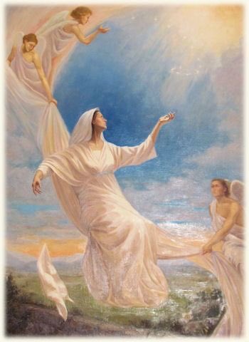 tradcatholic1's tweet photo. Happy feast day of the Assumption of the Blessed Virgin Mary ❤️ https://t.co/8C5Gjuy0ut