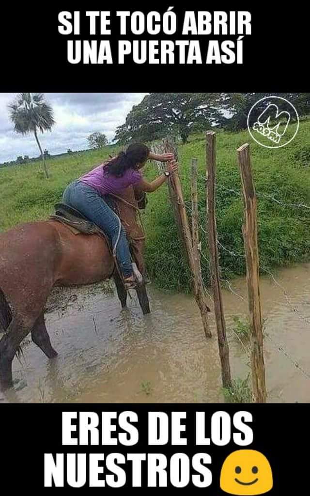 _moises_matias's tweet photo. https://t.co/NOHrWKcukt