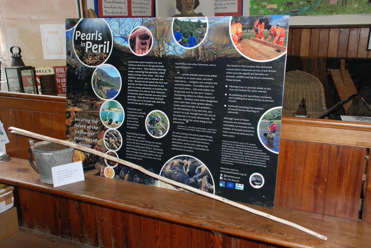 MoTheMussel's tweet photo. Heading up north?  Why not visit our exhibition in the Strathnaver Museum and learn more about your favourite freshwater pearl mussel?! https://t.co/EZEkqYeLlk