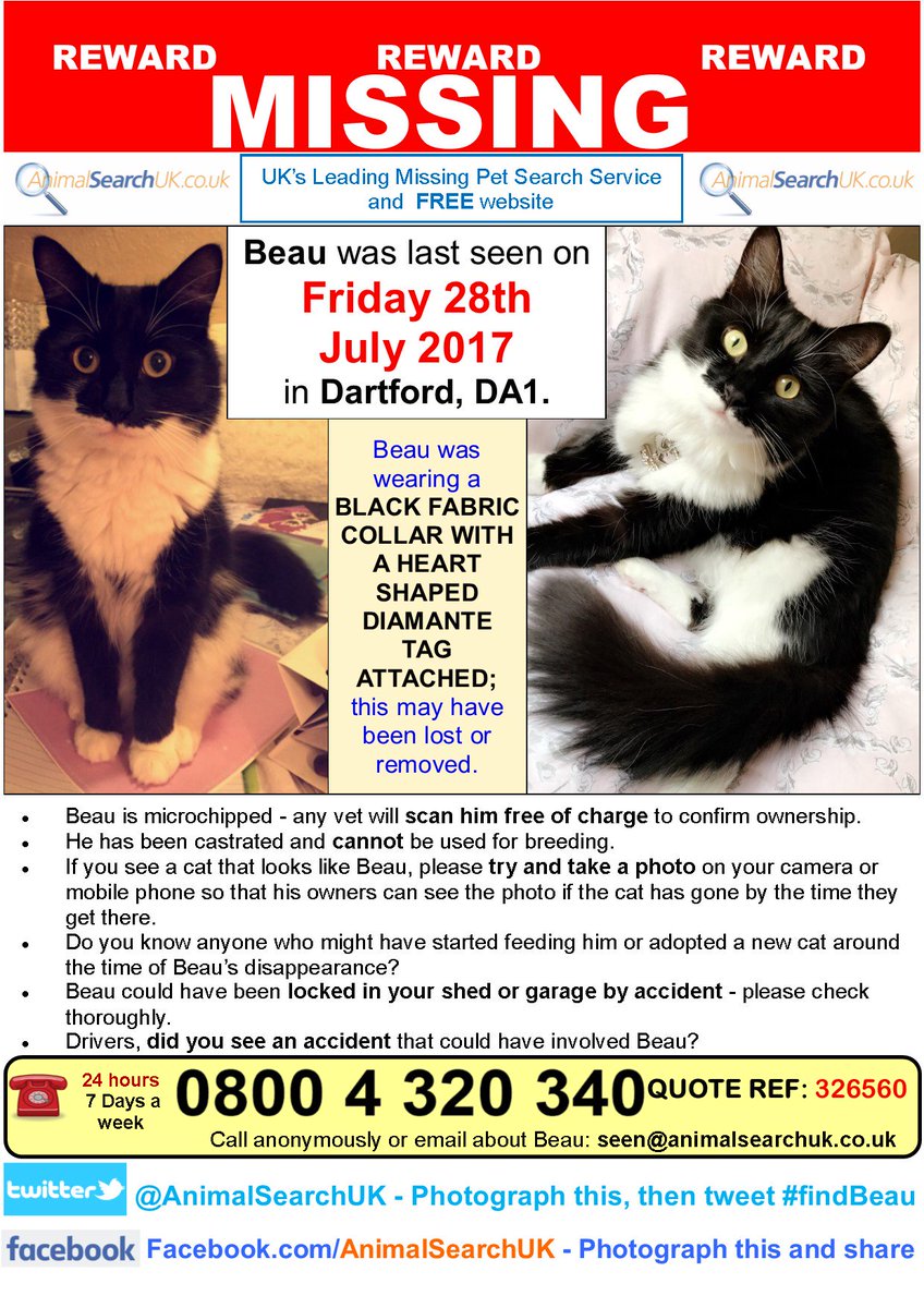 AnimalSearchUK's tweet photo. PLZ RT @DartfordRugby @DartfordSchFA @dartfordscouts #missingcat #dartford #kent #DA1 #findbeau
https://t.co/9WOkcU5CPQ https://t.co/yGa3Mfgnqp