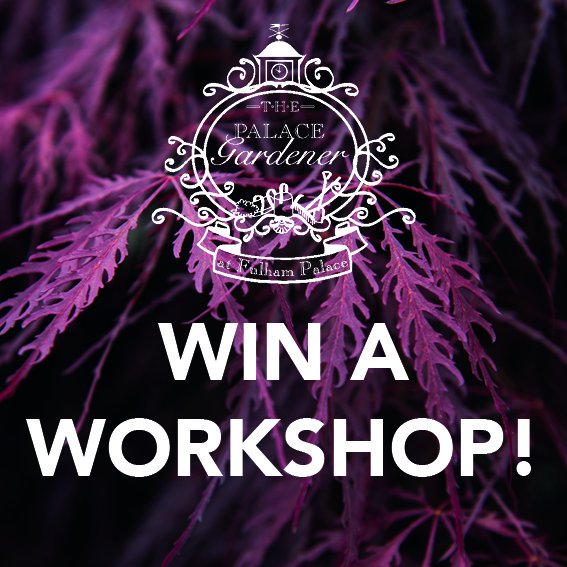 Win a place in one of our amazing workshops. Take a picture in store and hashtag #thepalacegardener  #workshops  #classes
