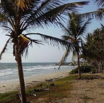 nortefranco02's tweet photo. Hoy #Margarita 29°C de temp con térmica 34°C #Nublado #SePreveUnDiaSimilarQueAyer #PosibilidadDePrecip50℅ #VientoDesdeElEste 21km/h https://t.co/YhSyh4kk9J