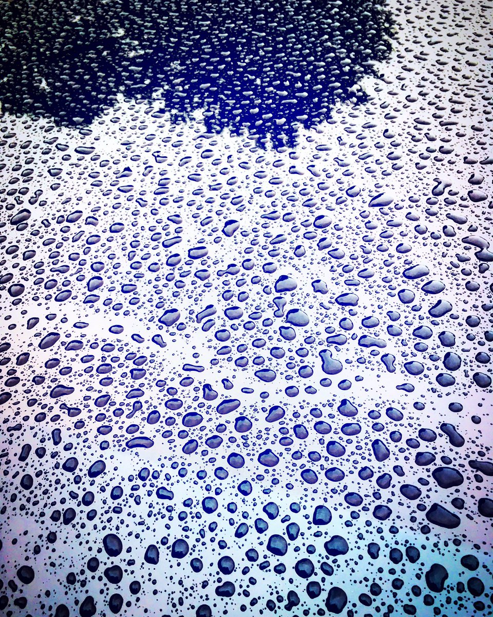 edolenz's tweet photo. Raindrops keep falling..

#edolenzphotos #raindrops #reflections #storms #trees https://t.co/8WOlcxUGOu