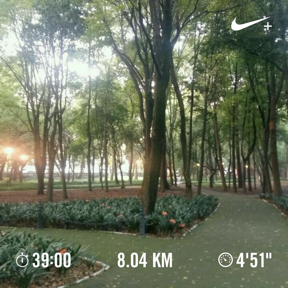 rrnanguse's tweet photo. Carrera matutina en Chapultepec.. 💪 https://t.co/APVIDGHuir