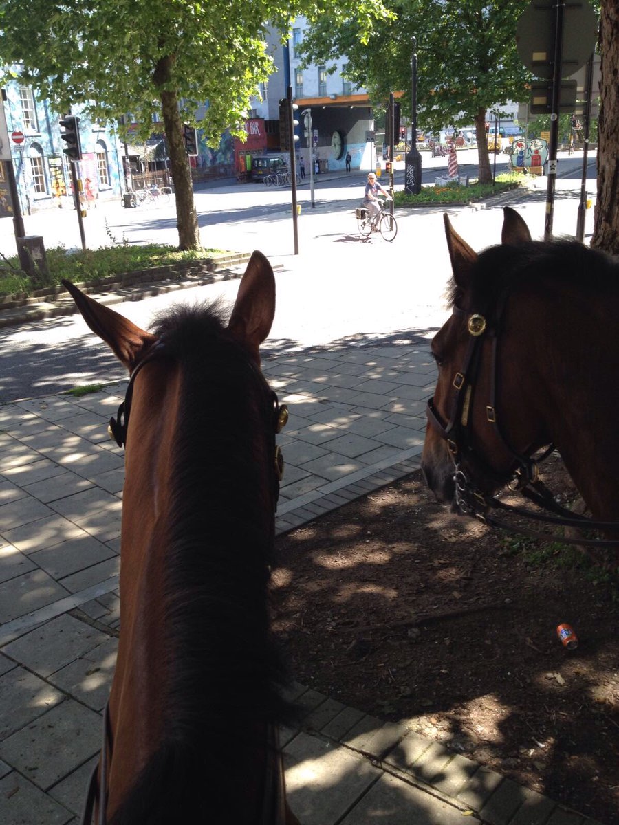 Quantock & Trinity take cover and watch from the shade whilst on patrol in @ASPBrisCentre #proactivepatrol #policinginthecommunity