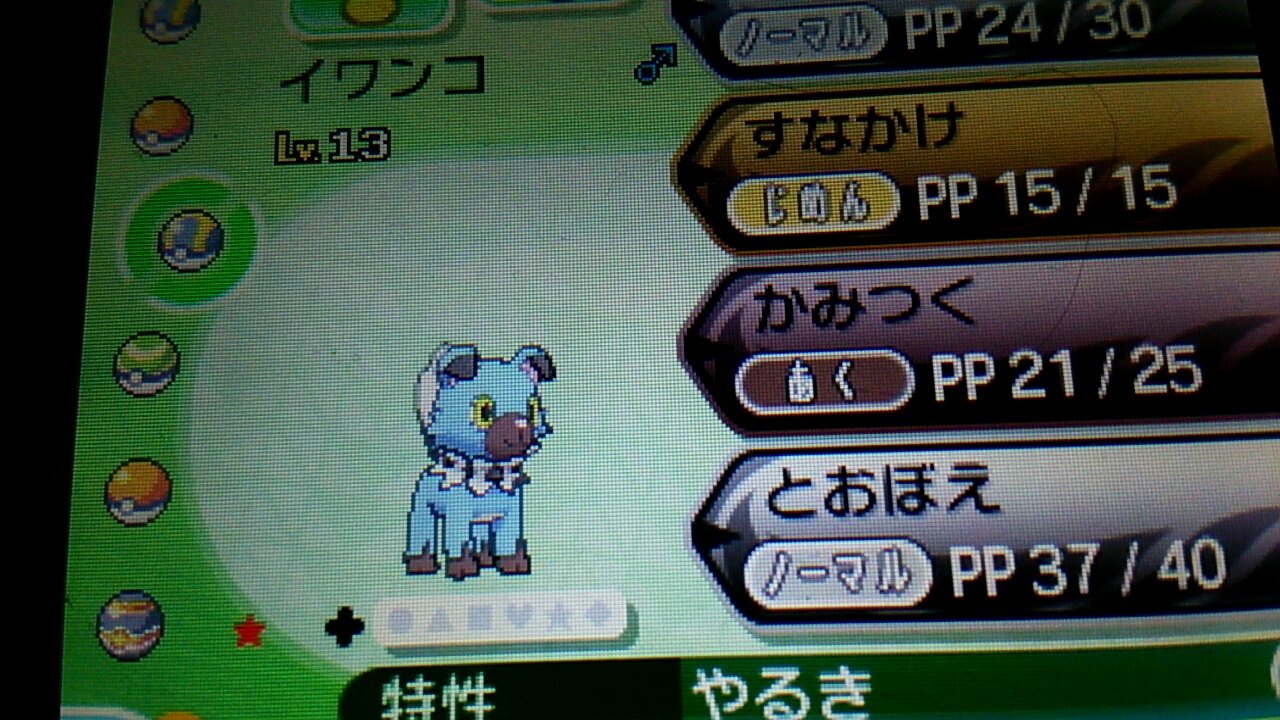 こなた ポケモン専用 久しぶりに色違い粘り イワンコやったら0匹目で出ました 今回は早かったー 反転世界の昼に行って即進化させたｗ ポケモンサンムーン 色違いポケモン T Co 7arqclpkww Twitter