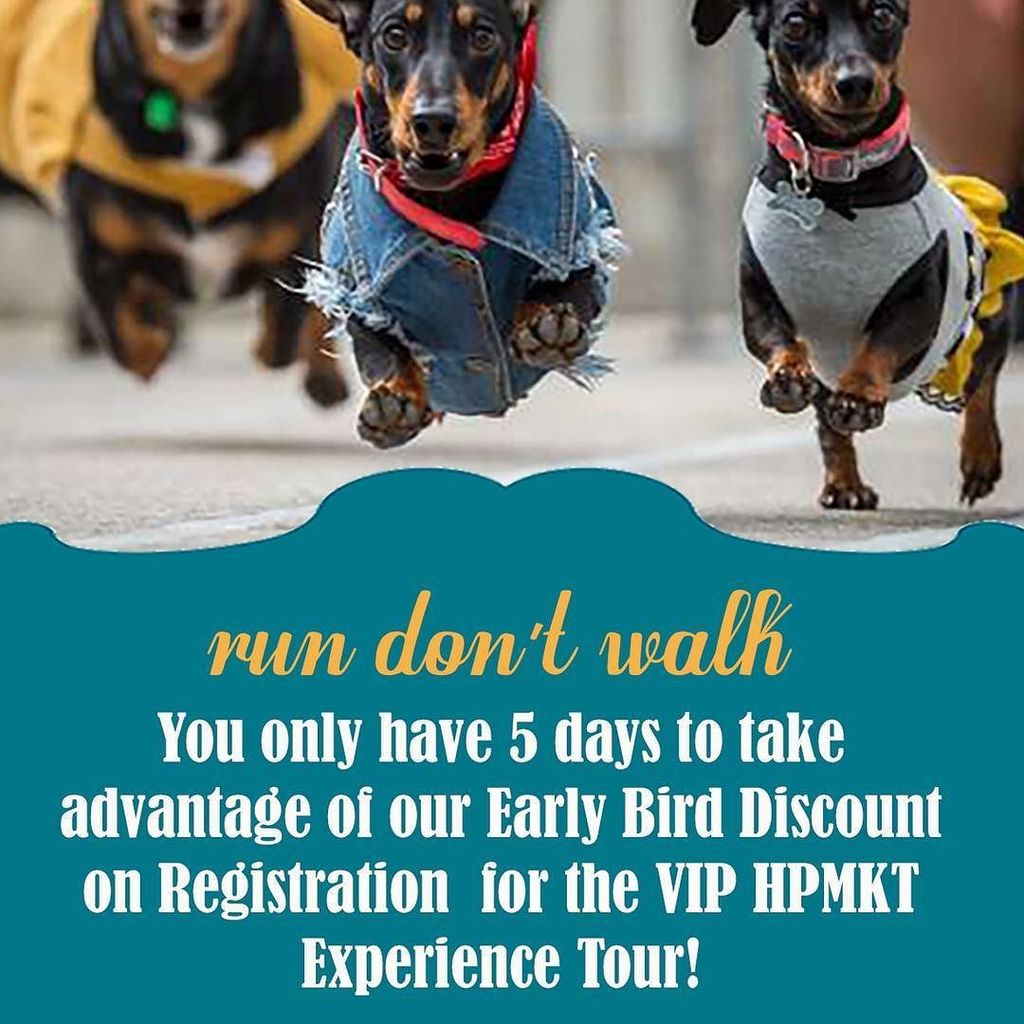 softdesignlab's tweet photo. #softdesignlab #designtribe #vipexperience #viptour #hpmktviptour #hpmkt https://t.co/tKOW3Auh0F https://t.co/GTnghyyzLx