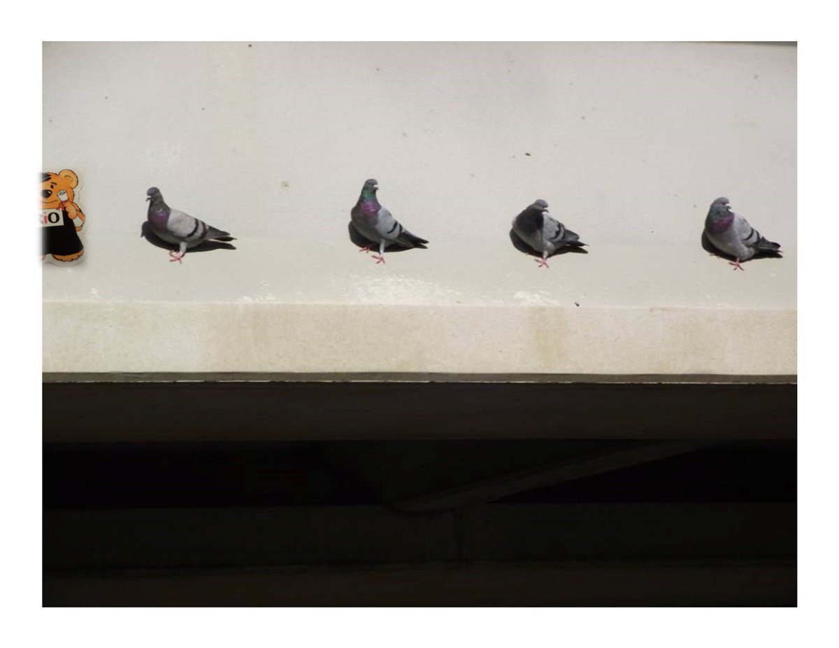 AnokaRamseyCC's tweet image. #TRIOPrograms know you're one of a kind! Sign up for an #infosession in SC122 to get started! #personaladvising #community #arcc #firstgen