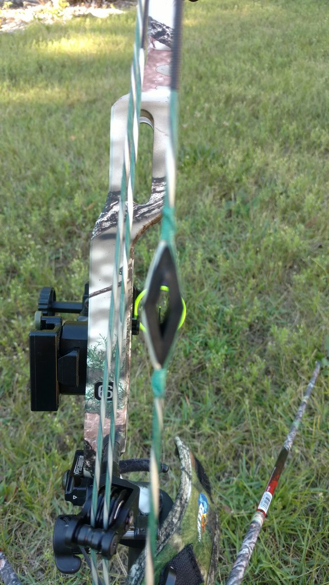 relentlessao's tweet photo. My she is a beautiful set up. @BowStringDepot #mathewshalon32 https://t.co/wW9BC7JreS