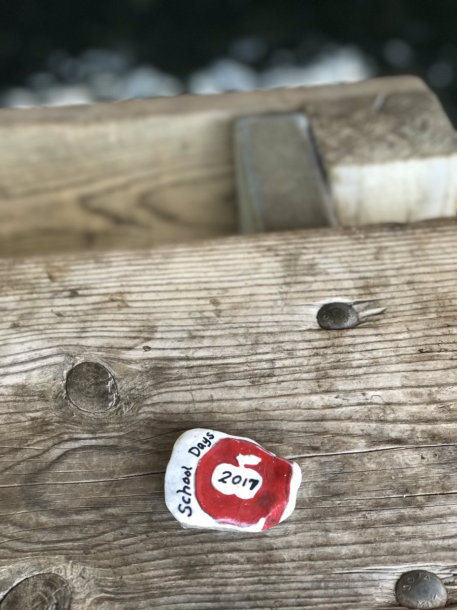 605Rocks's tweet photo. #605rocks planted rocks throughout Lake Pahoa! #lakepahoa #summer #backtoschool #rockpainting https://t.co/ONyOOCnbmt