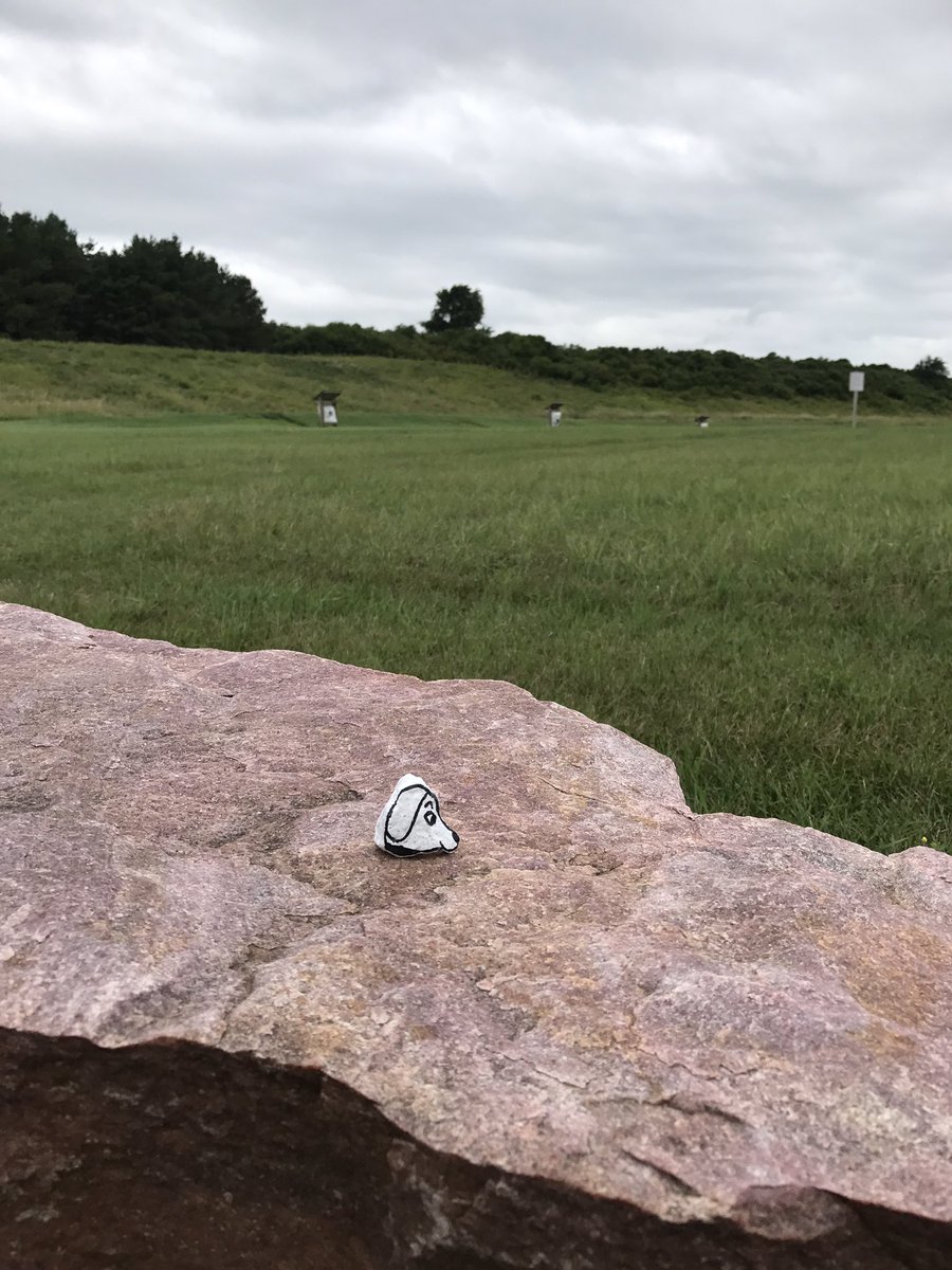 605Rocks's tweet photo. #605rocks planted rocks throughout Lake Pahoa! #lakepahoa #summer #backtoschool #rockpainting https://t.co/ONyOOCnbmt