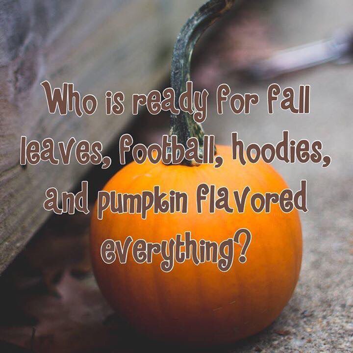 llmiller89's tweet photo. 😍🍁🍂 https://t.co/OvFbrcgmnU