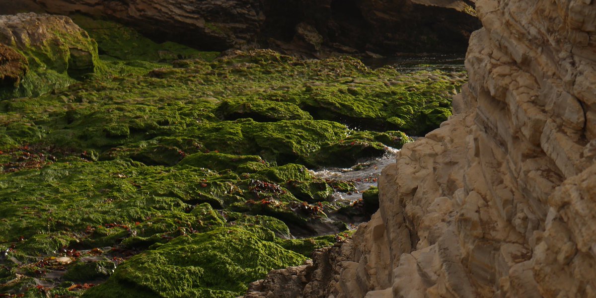 BATHSmusic's tweet image. Baths

News

In

September