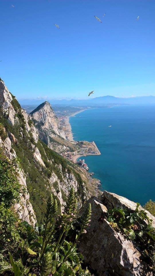 When I took this from the #MedSteps I wondered if I'd ever live in #Gibraltar again? Then thought what's with the if?