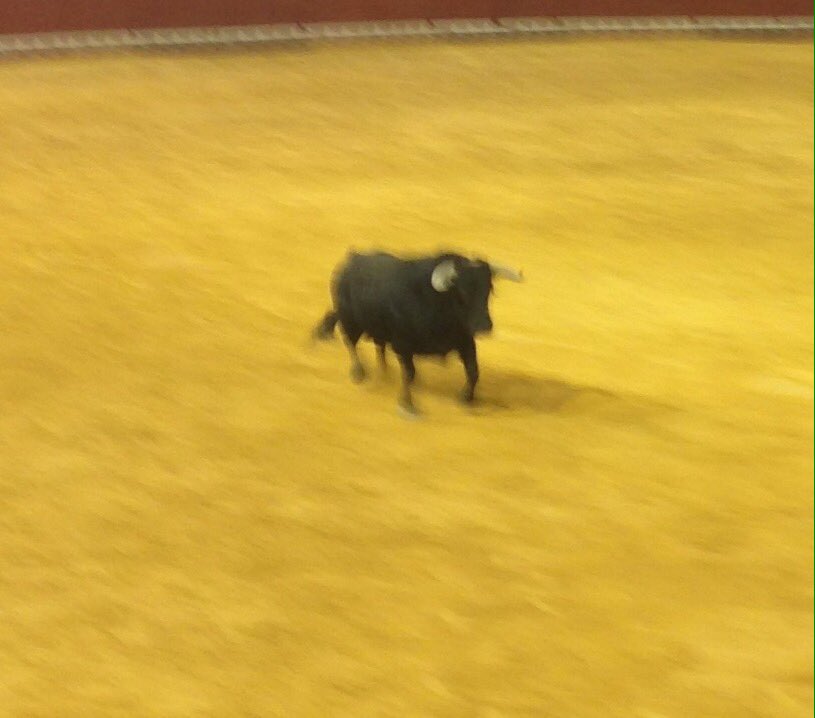 4to toro: GUERRERITO N93 negro del 12/11 con 470 kg de la ganadería de BENÍTEZ CUBERO para JOAO TÉLLEZ #toroselpuerto17