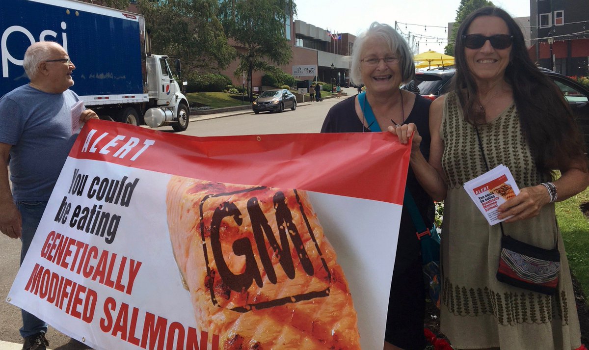 Leafletting today in #PEI, Home of the Frankenfish. Unlabelled #GMsalmon now eaten by unsuspecting Canadians.