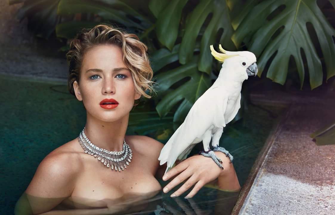 Happy Birthday! actress  Jennifer Lawrence 