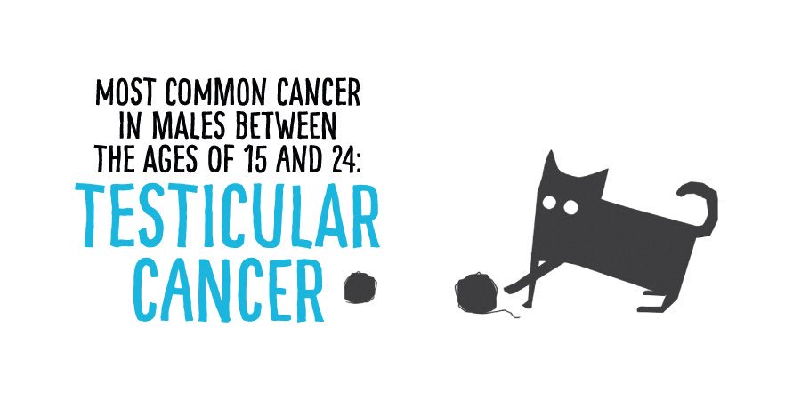 WeAreCATTs's tweet photo. Boys, are you feeling yourself tonight? We hope so! ๐โฝ๏ธ But not in public please... #checkemtuesday #testicularcancer https://t.co/y7CABMa9vd