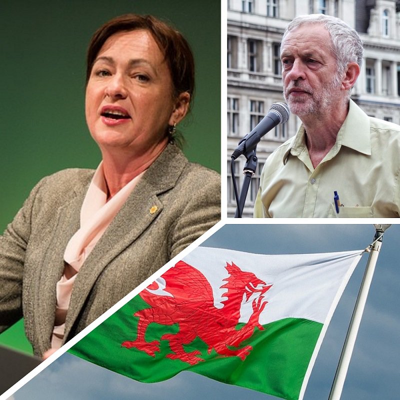 Mae Arweinydd Seneddol Plaid Cymru <a href="/LSRPlaid/">Liz Saville Roberts AS/MP</a> wedi herio <a href="/jeremycorbyn/">Jeremy Corbyn</a> i ddadl gyhoeddus ar Ewrop dydd Sadwrn www2.plaid.cymru/corbyn_europe