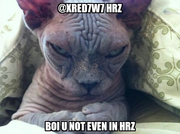 WhyDae's tweet photo. @xRed7w7 "HRZ" https://t.co/2jDrin7r25