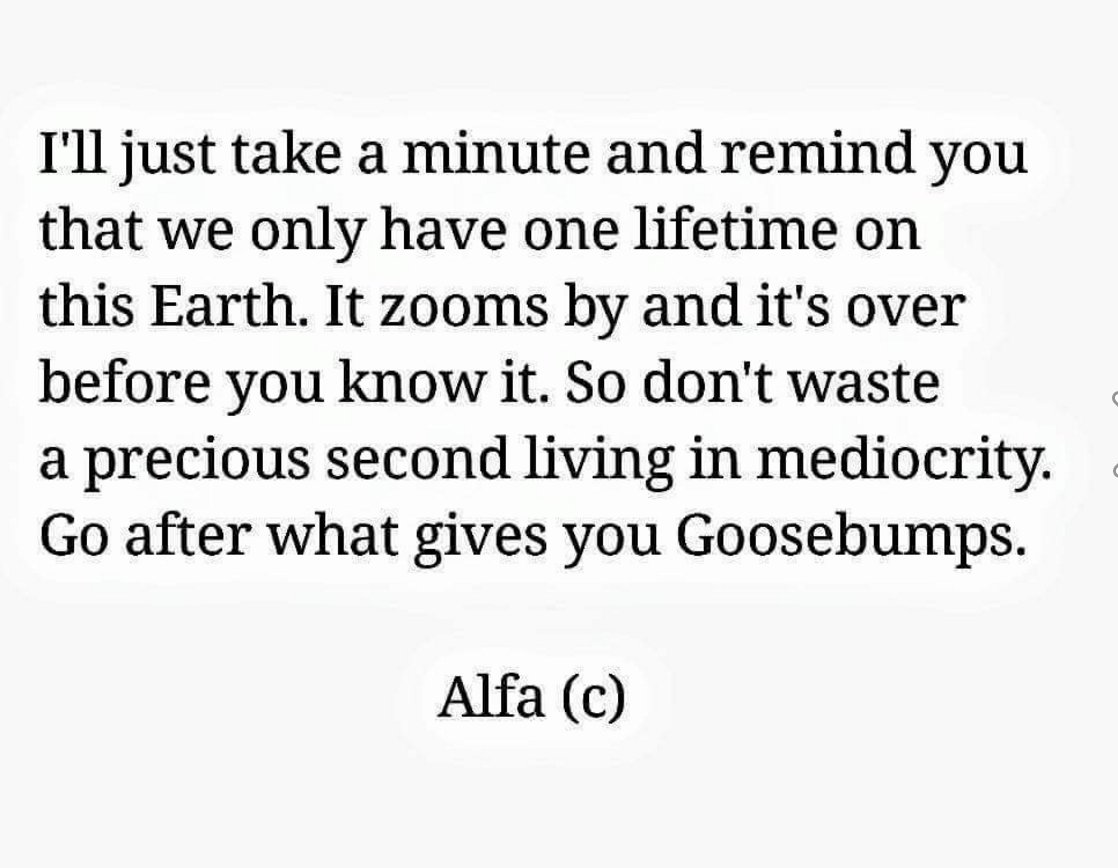 joboaler's tweet photo. As the school year starts up again and we think about the year ahead I thought  it might be nice to remember this quote from the poet Alfa: https://t.co/eAXFYaOfsq