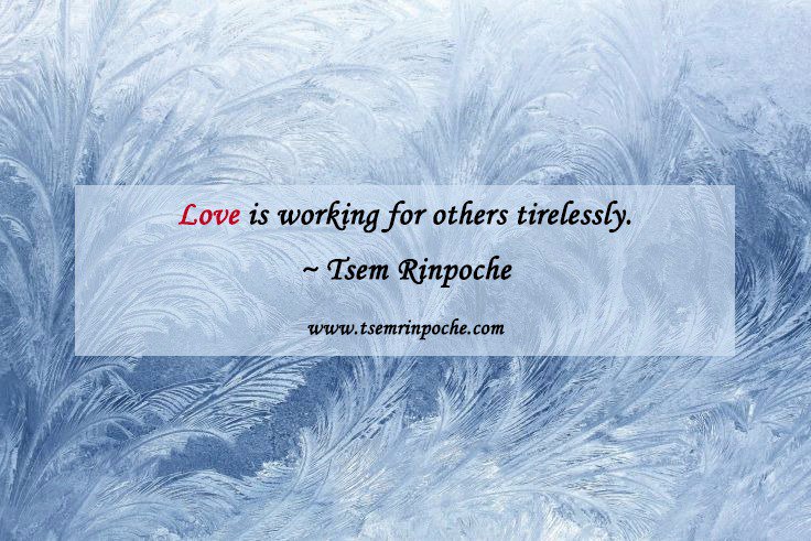 frozbyte's tweet photo. Real #compassion is uncontrived &amp; #natural
#awareness
#mindfulness
#suffering
#happiness
#focusout
#relationship
#friendship
@tsemtulku https://t.co/qwBdxrIzEo
