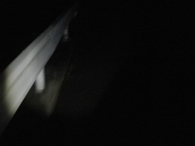 哲学ニュースnwk 哲学ニュースnwk 閲覧注意 後味の悪い話 スーパーナチュラル火事だー逃げろー T Co R2spc0heou