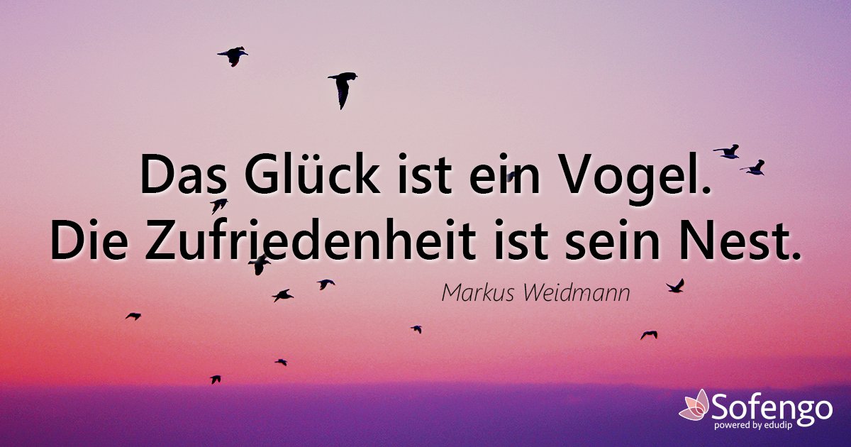 Sofengo's tweet photo. Wir hoffen, Sie hatten alle einen zufriedenen Tag! https://t.co/apB3RoQboM