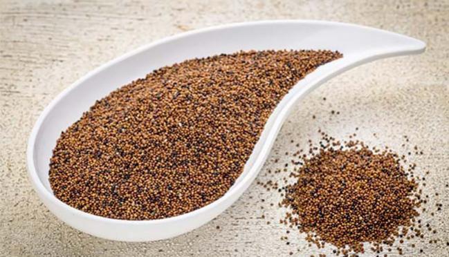 AgroForum's tweet photo. El nuevo #SúperAlimento de moda es #peruano ► https://t.co/YDNvIXzaOK #Perú #GranoAndino #SuperFood #AlimentaciónSana #Minagri #Elle https://t.co/bWcjciqdi8