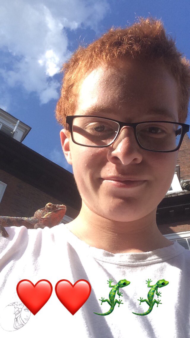 CAVETOWN tweet picture