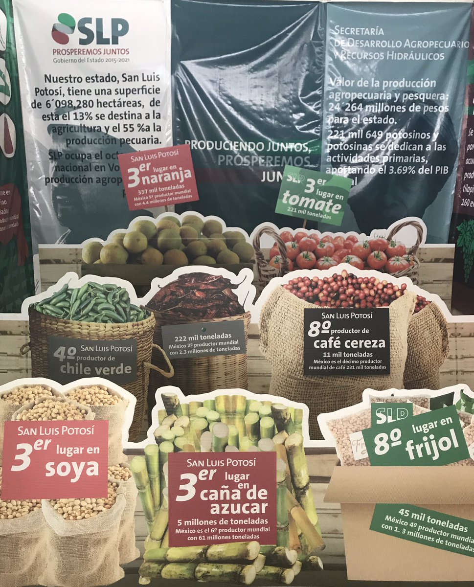 SEDARHSLP's tweet photo. #SLP #somosproductores #ProduciendoJuntos #ProsperemosJuntos https://t.co/WUWLwKr3Q4