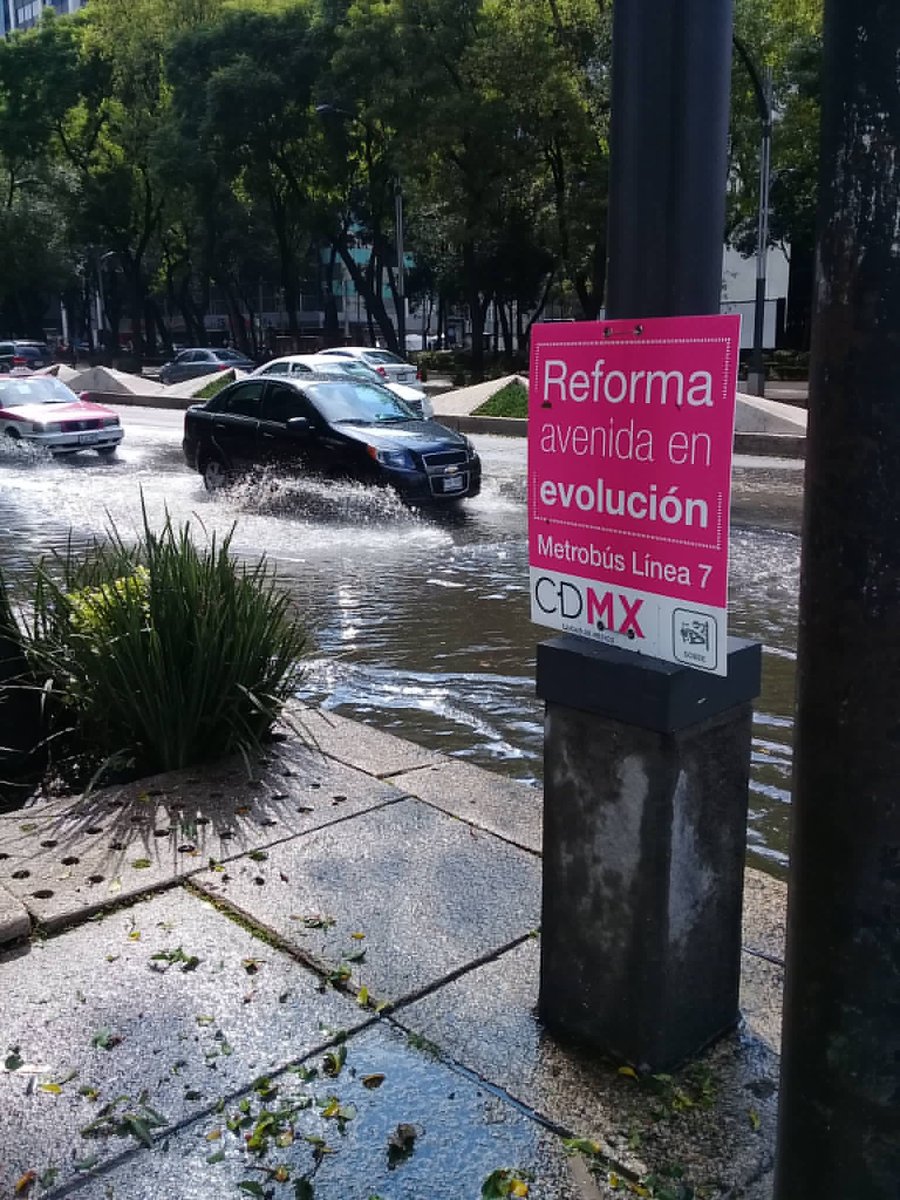 Pedro Hidalgo tweet media