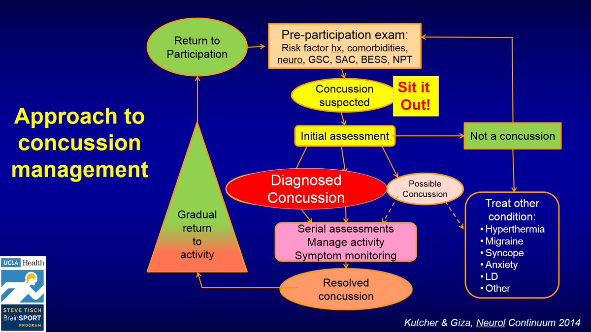 griz1's tweet photo. 1 model for #concussion recovery progression to @PhysicianAsst #CATA2017 & @schoolnurses @LASchools in past wk! @WeSchoolNurses @UCLAHealth https://t.co/yQTu79uD54