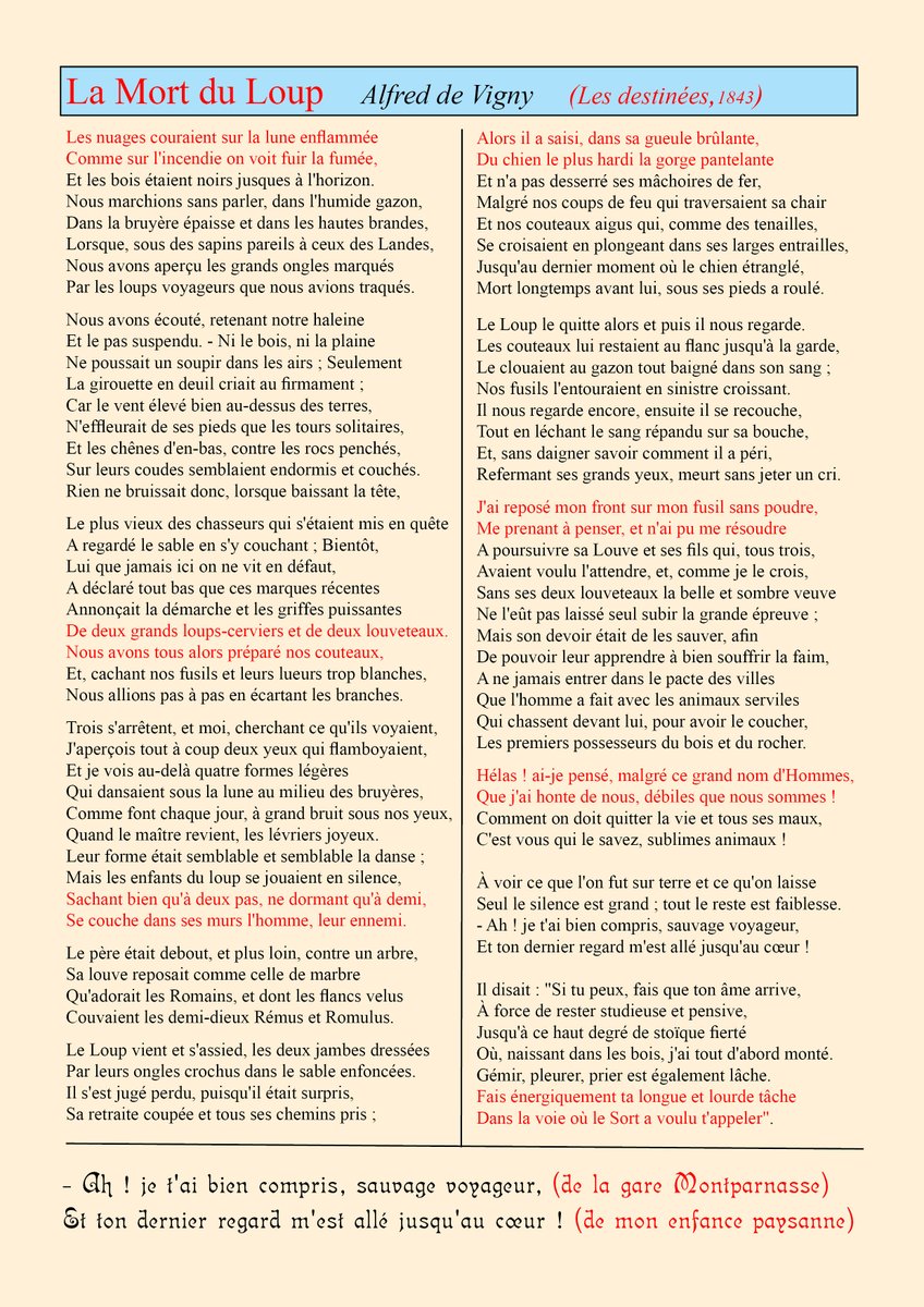 Gazouilettedebordeaux Hashtag On Twitter