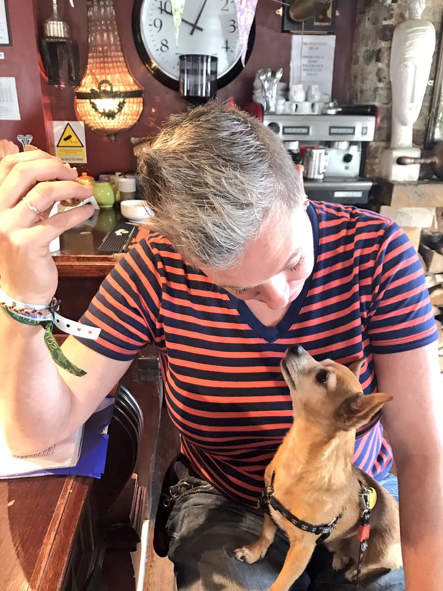 fountainheadpub's tweet photo. 'Tis the cutest thing I ever did see! @DogFriendlyBton @dogfriendlyinfo #dogs #dogsfriendlypub #brighton https://t.co/MjrdP54FNE