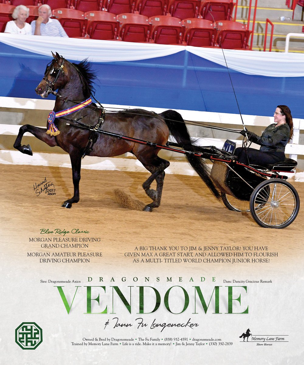 National Horseman tweet media