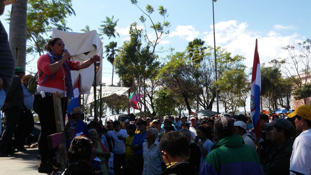 cigarrapy's tweet photo. Cierran el #DesfilePatriota esperando que el jueves el Senado rechace el veto de Horacio Cartes. Aumentan la organización y agradecen apoyo. https://t.co/4aSk1ceFoi