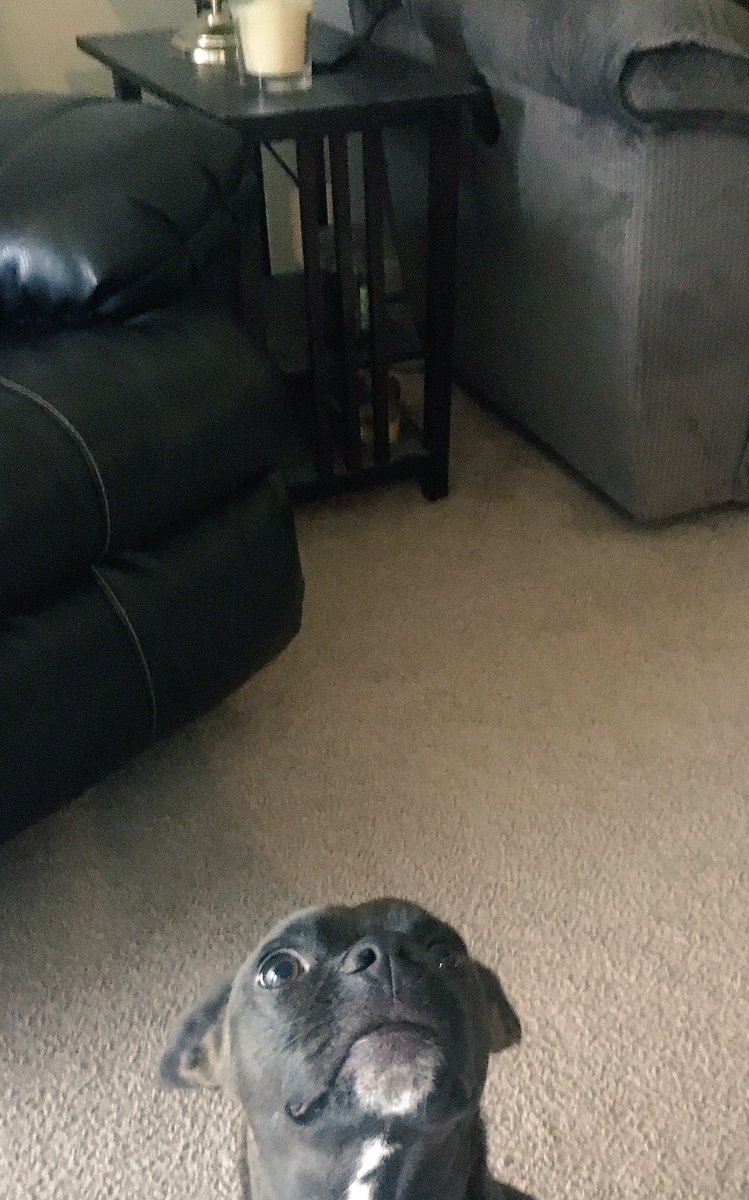 RyanAbe's tweet photo. open for a surprise https://t.co/OAU0AMKPZ8