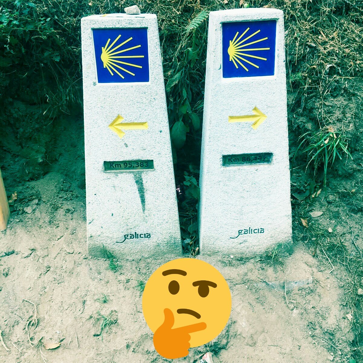 JM_Repiso's tweet photo. "Viajar es mucho más q ver cosas. Es un cambio profundo y permanente d las ideas d la vida".Mirian Beard✌😊 #CaminoDeSantiago #VilalbaMiraz https://t.co/HHOeIGERYB