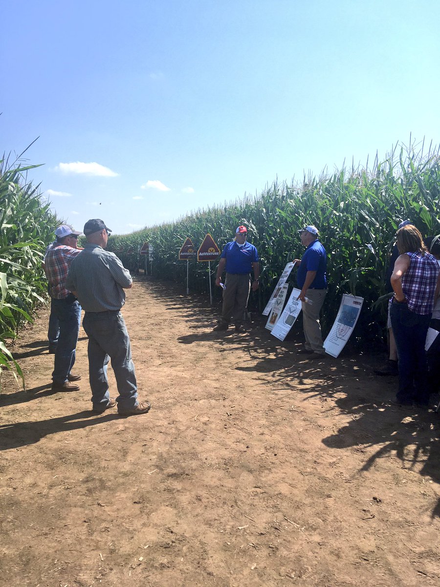 SeedMission's tweet photo. A big thanks to our sales team for a successful field day! https://t.co/5q4JdD4VfA