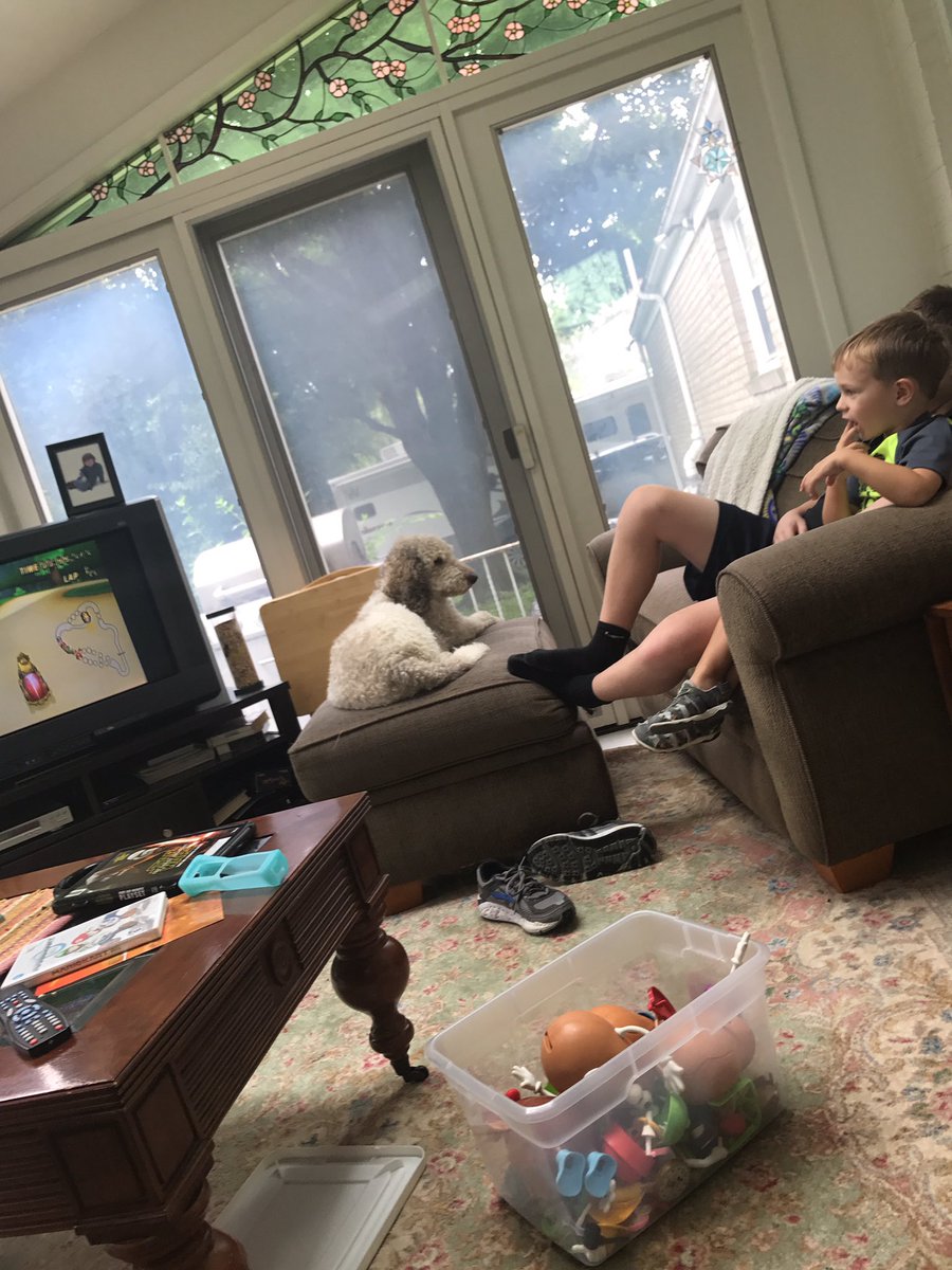 LuLaRoeCW's tweet photo. Cousin fun means it's a little messy and a lot of Love around here! #lularoe #momlife #cousins #labradoodle https://t.co/T4wfXFNiFC
