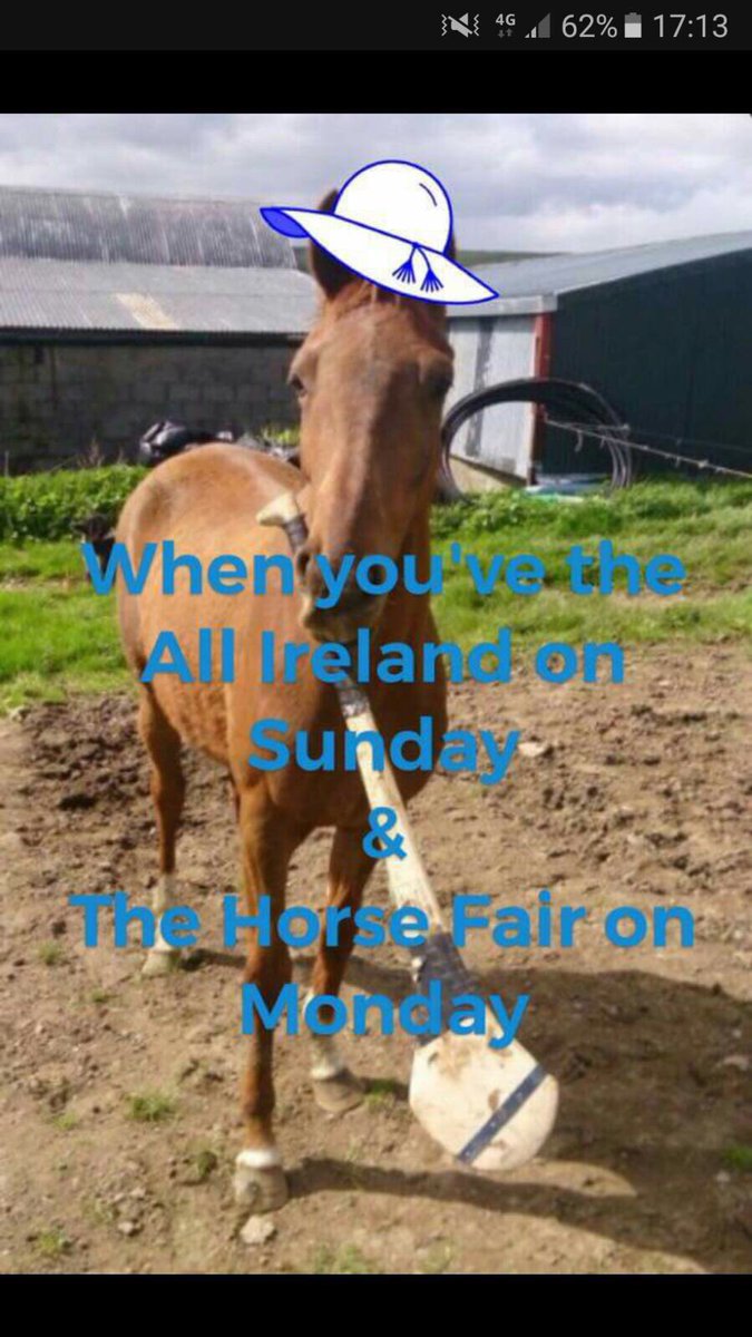 NaomhColumCille's tweet photo. Our friends in Tulach an Iarainn getting behind the Waterford hurlers &amp; @TallowGAA forward Tommy Ryan for the All-Ireland. Na Déisigh Abú! https://t.co/NDIswMPius
