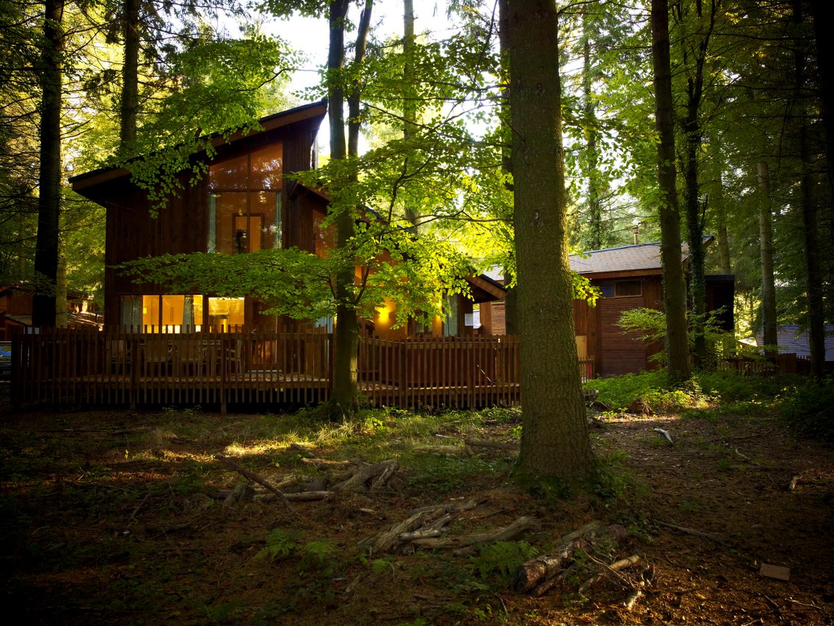 forestholidays's tweet image. We have #CabinAvailability this weekend! You deserve a luxury break away in a beautiful cabin set in the woods! forestholidays.co.uk/search-results…