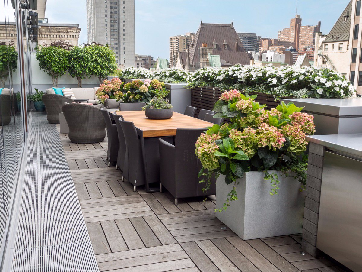 Alphaplantes's tweet photo. Quelques clichés de deux superbes terrasses aménagées cet été par notre équipe. #alphaplantes #terrasses🌷https://t.co/AglDimlLdu https://t.co/8bsmIcf0y0