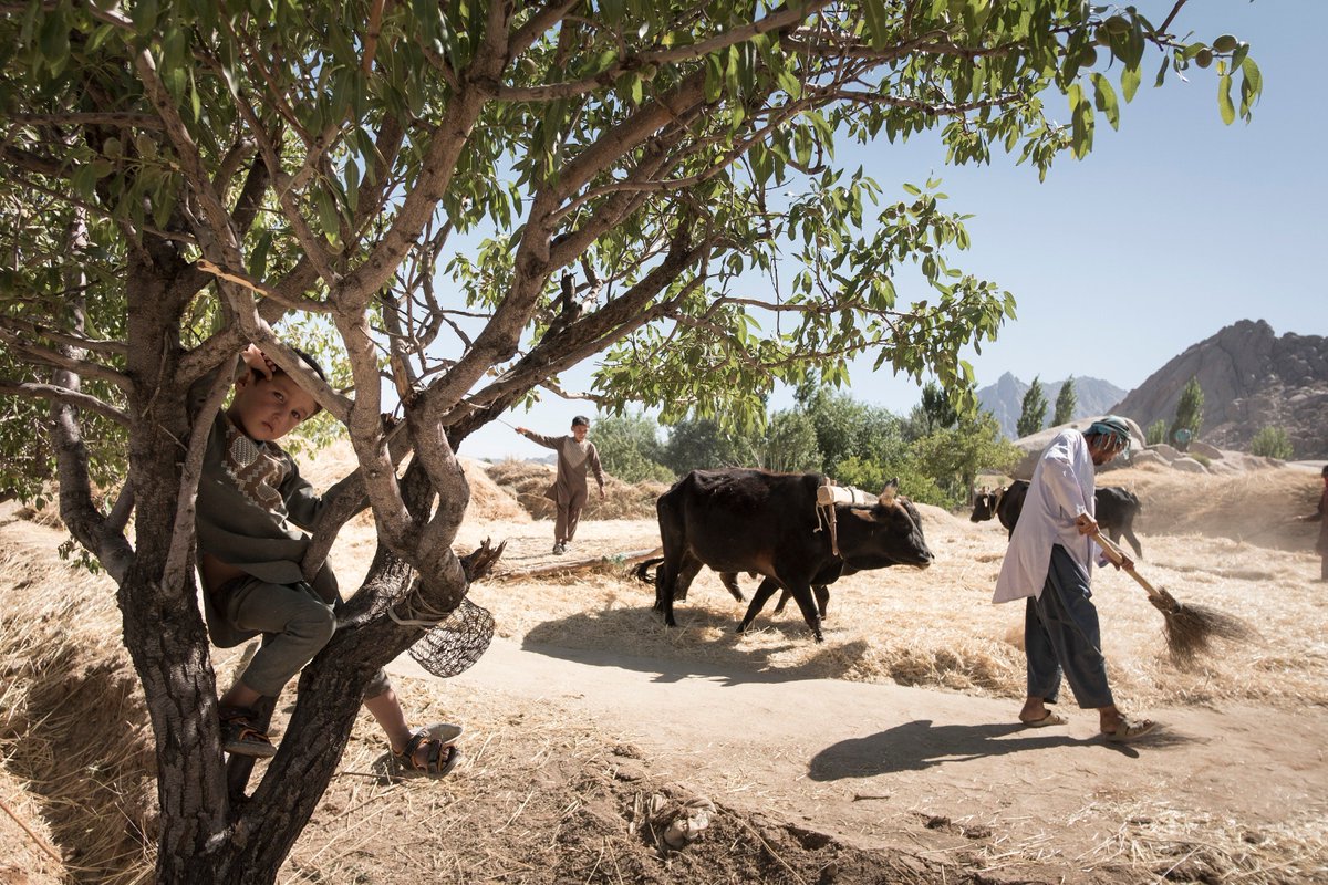 AfghanAgencies's tweet photo. Traditional methods of willowing and washing wheat to be milled in #Daikundi. #Afghanistan #M4DAfgTrip #M4Dprojects Photo by @joelvanhoudt https://t.co/0zyOBCmFPs