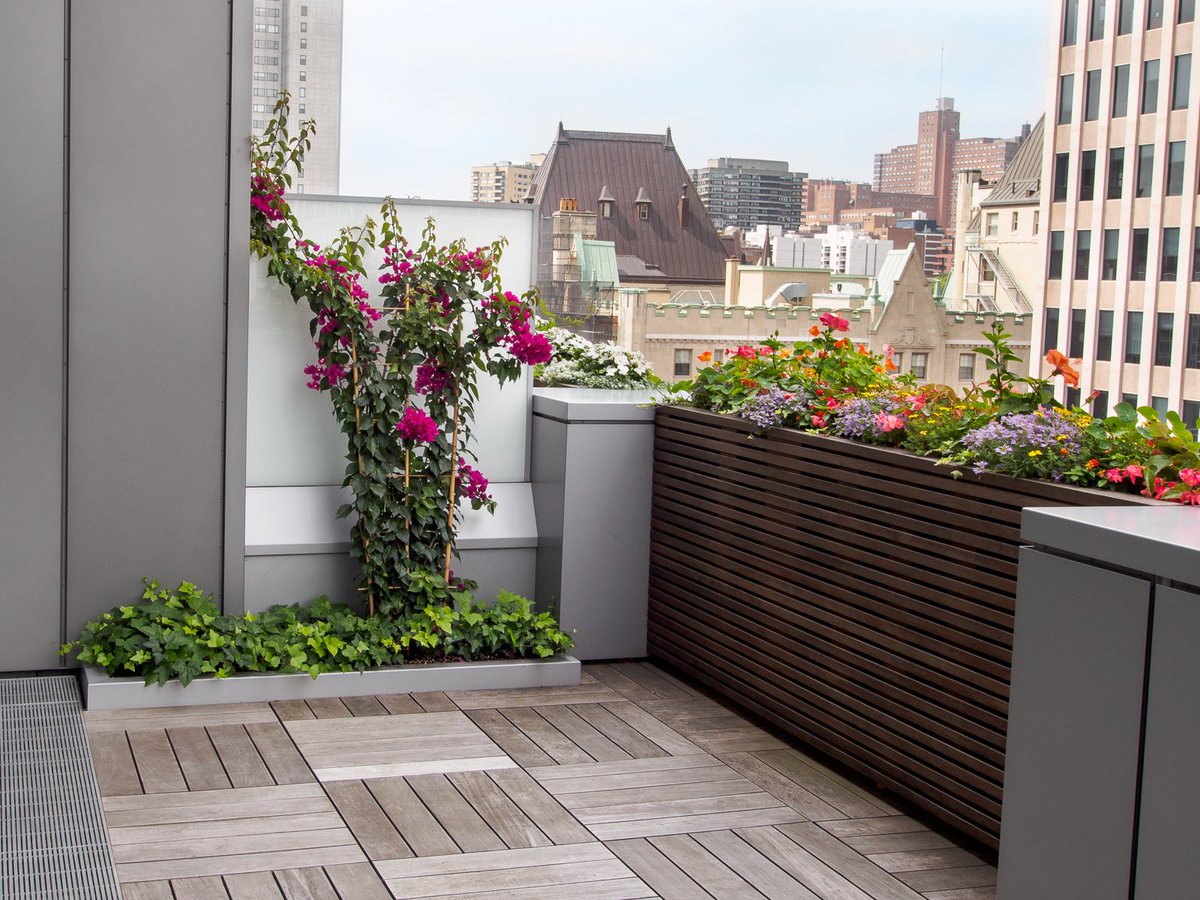 Alphaplantes's tweet photo. Quelques clichés de deux superbes terrasses aménagées cet été par notre équipe. #alphaplantes #terrasses🌷https://t.co/AglDimlLdu https://t.co/8bsmIcf0y0