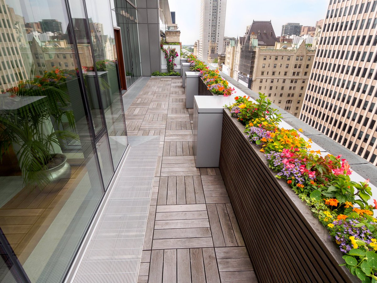 Alphaplantes's tweet photo. Quelques clichés de deux superbes terrasses aménagées cet été par notre équipe. #alphaplantes #terrasses🌷https://t.co/AglDimlLdu https://t.co/8bsmIcf0y0