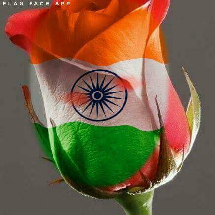Priya015p's tweet photo. @hardikpandya7 Happy independence day . https://t.co/A2jE8v0gmH