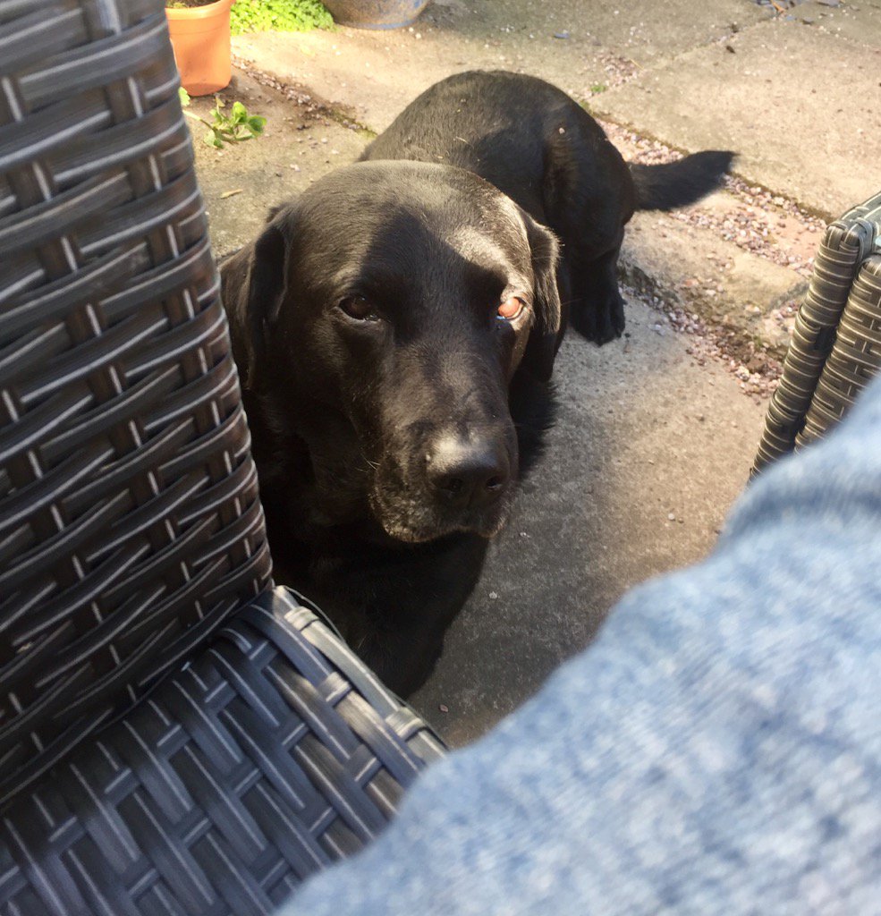 EscapedHere's tweet photo. Just keeping an eye on me #thisboyknows #myangel💙 https://t.co/waB6QCT2xU